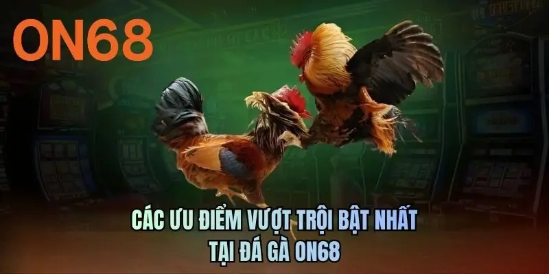 Các ưu điểm vượt trội bật nhất tại Đá gà ON68