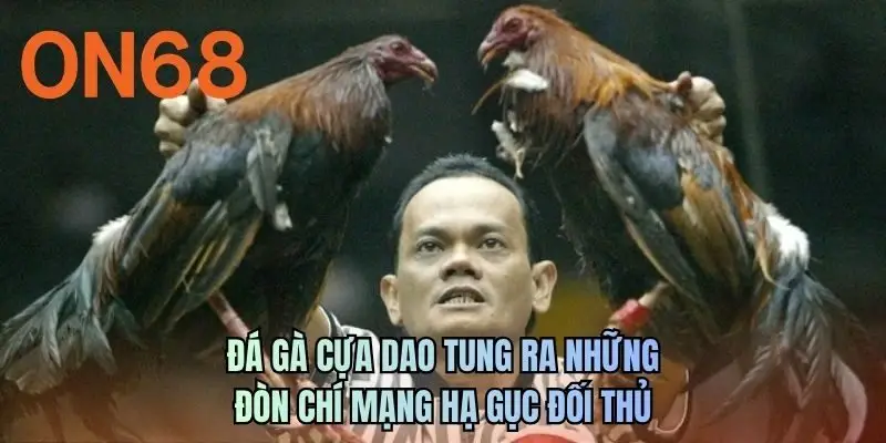 Đá gà cựa dao tung ra những đòn chí mạng hạ gục đối thủ