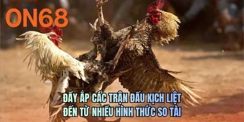 Đầy ắp các trận đấu kịch liệt đến từ nhiều hình thức so tài